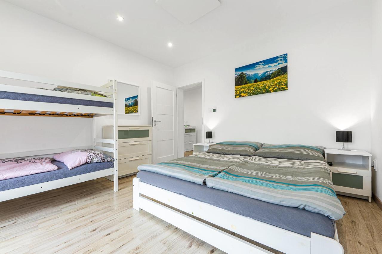 Wellness Villa Klinovec Views Loučná pod Klínovcem Екстериор снимка