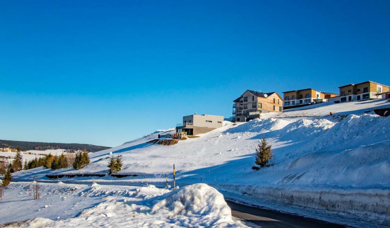 Wellness Villa Klinovec Views Loučná pod Klínovcem Екстериор снимка