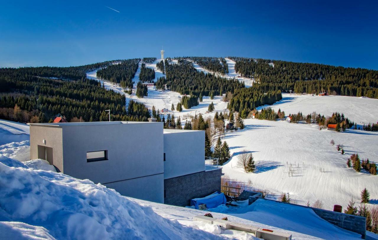 Wellness Villa Klinovec Views Loučná pod Klínovcem Екстериор снимка