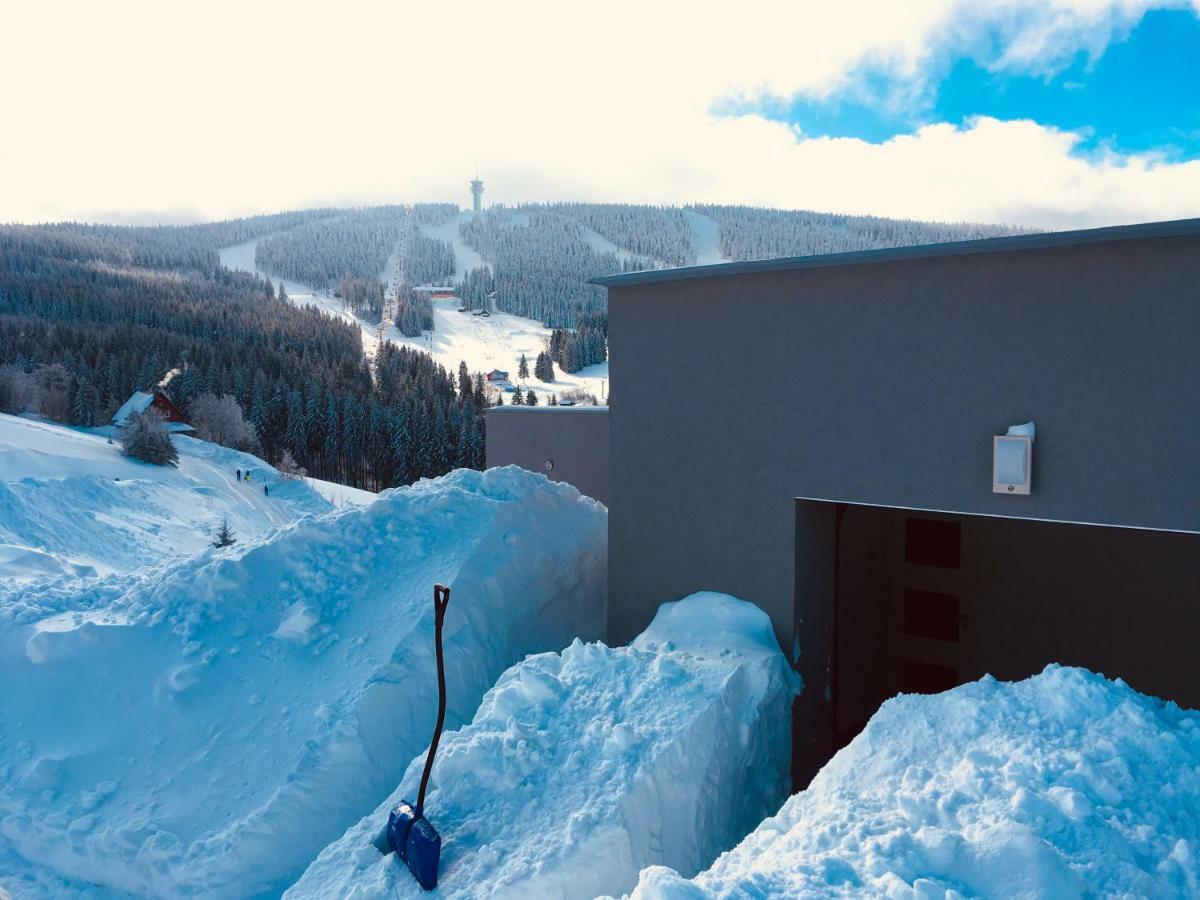 Wellness Villa Klinovec Views Loučná pod Klínovcem Екстериор снимка